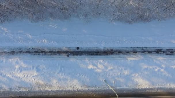 Luchtfoto van mensen joggen op pad in de buurt van besneeuwde bos in de winter — Stockvideo