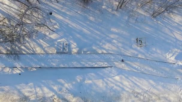 Antenne von Menschen, die im Winter im Stadtpark joggen — Stockvideo