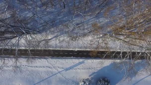 Антенна людей, бегущих по парковой полосе среди снежных заносов зимой — стоковое видео