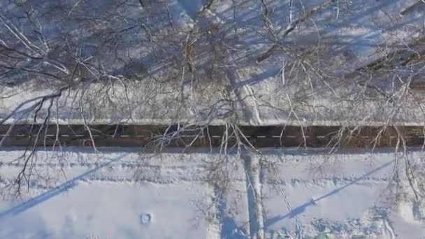 Вид с воздуха спортсменов, бегущих марафон в снежном парке зимой — стоковое видео
