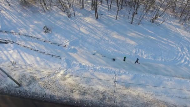 겨울에 도시 공원에 조깅 하는 사람들의 공중 — 비디오