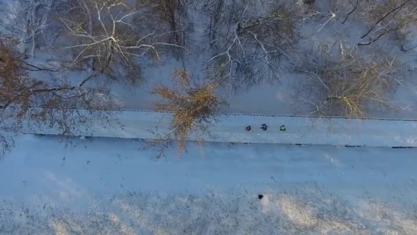 Aérea de pessoas que correm na ponte de ferro coberta de neve perto da floresta no inverno — Vídeo de Stock