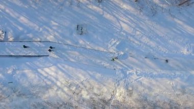 Kış aylarında karla kaplı demir köprü Şehir Parkı içinde çalışan sporcular, hava