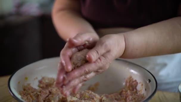 Großaufnahme Einer Seniorin Die Bällchen Aus Hackfleisch Herstellt Eine Ältere — Stockvideo