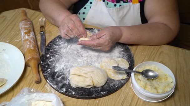 年配の女性が詰めマッシュ ポテト餃子を作り — ストック動画