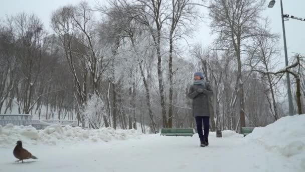 Felnőtt nő téli park séta — Stock videók