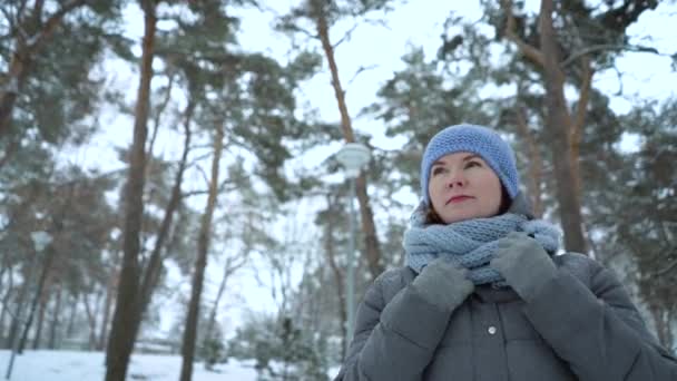 Vuxen kvinna gå i Vinterparken — Stockvideo