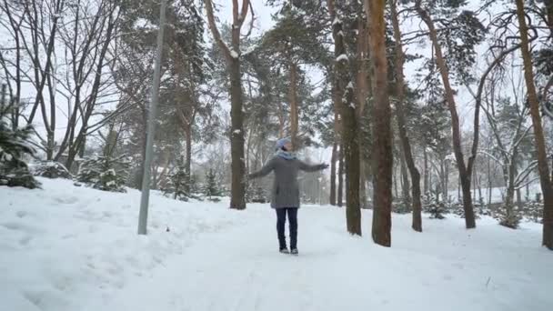 快乐的成年妇女走在冬季公园 — 图库视频影像