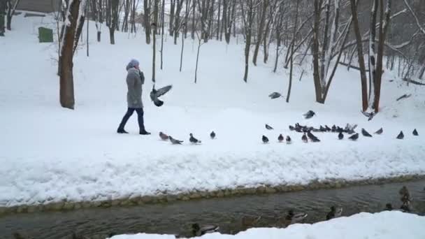Жінка гуляє в зимовому парку серед голубів, сидячи на снігу — стокове відео