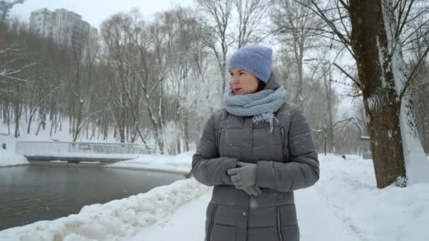 Mujer adulta caminando sola en el parque de invierno en un día nevado — Vídeos de Stock