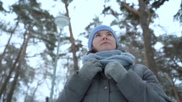 Donna adulta che cammina nel parco invernale — Video Stock