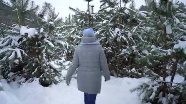 Žena mezi borovicemi v zasněžené zimní les zpět zobrazit — Stock video
