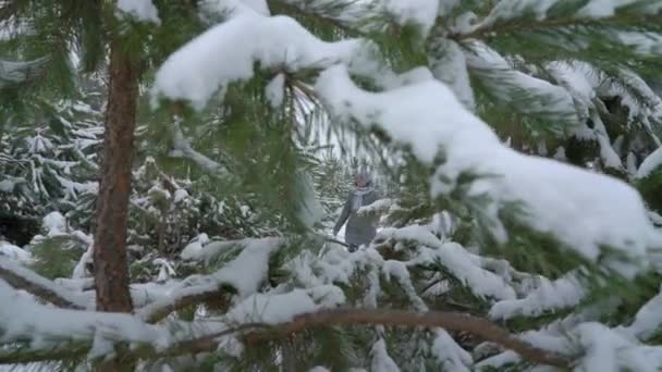 Frau Die Einem Verschneiten Tag Winter Kiefernwald Spazieren Geht Erwachsene — Stockvideo