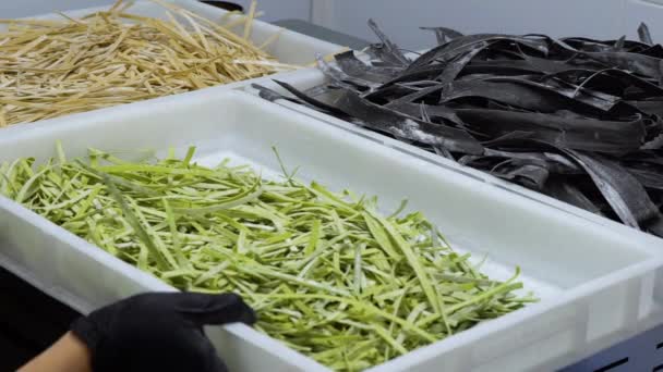 Ruce položte na stůl v pomalém pohybu kontejner s pruhy barevné těstoviny — Stock video