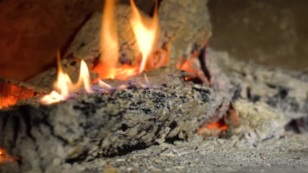 Fire flames of burning wood logs in slow motion closeup — Stock Video