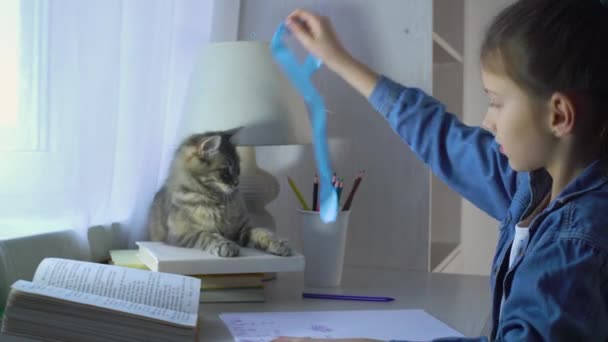 Kis lány játszik vele kisállat macska nem csinál házi feladatot — Stock videók