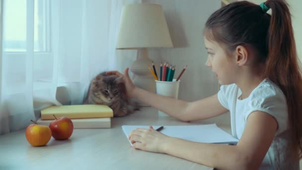 Basisschool meisje haar huisdier kat aaien en huiswerk — Stockvideo