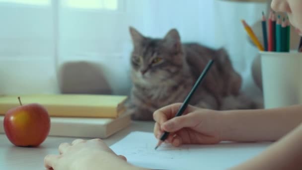 Primer plano de niña dibujo con lápiz y gato sentado a su lado en la mesa — Vídeos de Stock