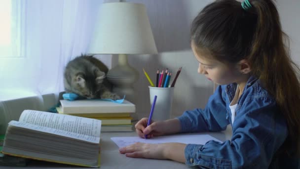 Gadis lucu bermain dengan kucing peliharaannya bukannya melakukan pekerjaan rumah — Stok Video