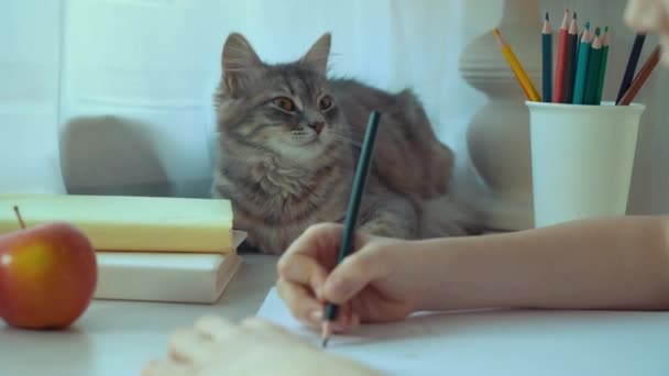 Nahaufnahme eines kleinen Mädchens, das ein Bild zeichnet und ihre Katze streichelt — Stockvideo