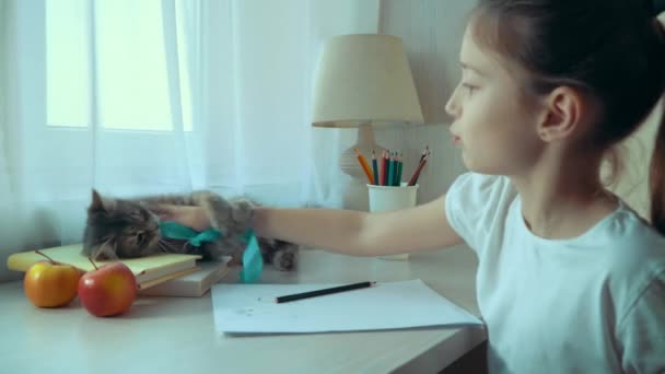 Μικρό κορίτσι παίζει με το κατοικίδιο ζώο γάτα της ενώ κάνει την εργασία — Αρχείο Βίντεο