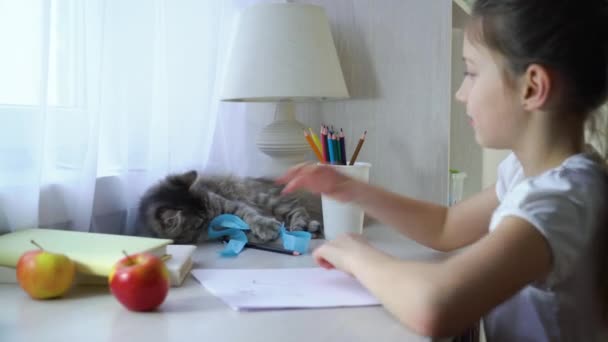 Aranyos kis lány megáll, ő kisállat macska játszik, és úgy néz ki, a kamera — Stock videók
