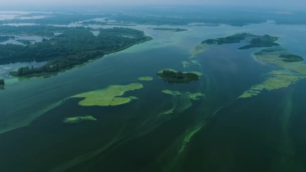 Antenne des Flusses mit kleinen Inseln, die von Blaualgen befallen sind — Stockvideo