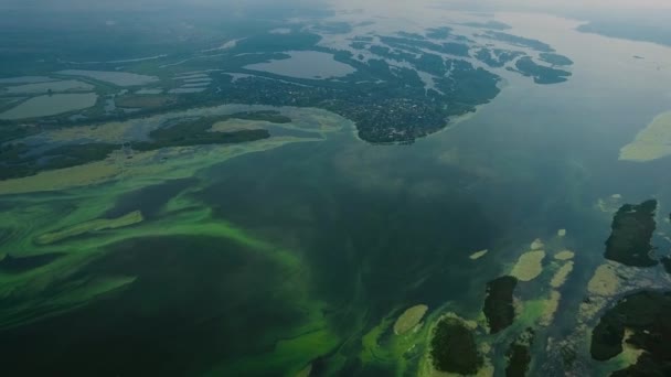 Повітряна частина широкої водної поверхні з невеликими островами, покритими зеленими водоростями — стокове відео