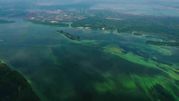 Повітряна частина річки, забруднена зеленими водоростями поблизу промислової зони — стокове відео