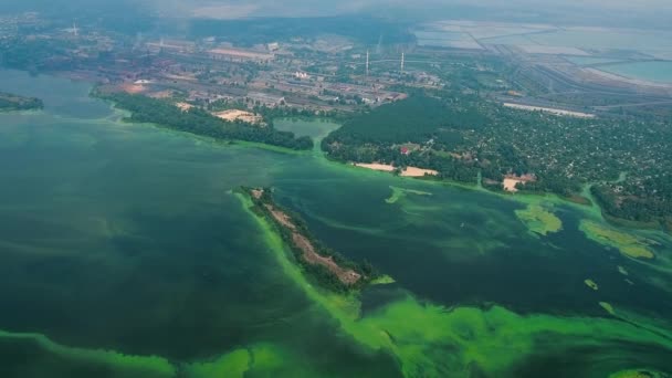 Aerea di ampio fiume infetto da alghe verdi vicino alla grande zona industriale — Video Stock