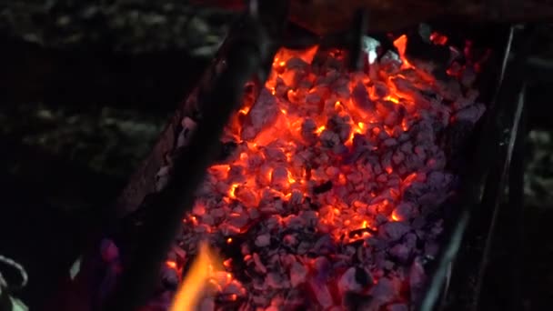 Asado de la canal de cerdo en la parrilla de carbón al aire libre en la noche primer plano — Vídeos de Stock