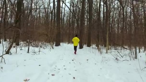 Śledzenia strzał człowieka jogging w lesie na chłodne zimowe wieczory — Wideo stockowe