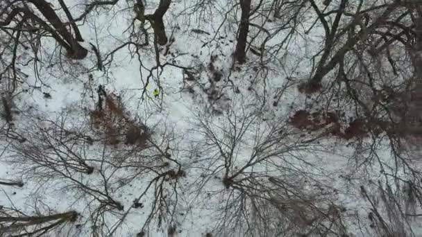 Tiro aéreo de desportista no casaco amarelo jogging na floresta no dia frio de inverno — Vídeo de Stock