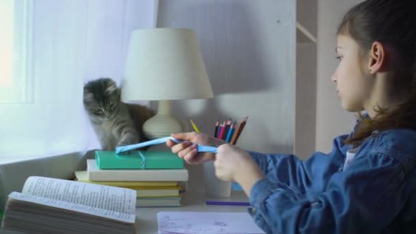 Linda chica jugando con su gato mascota en lugar de hacer la tarea — Vídeo de stock