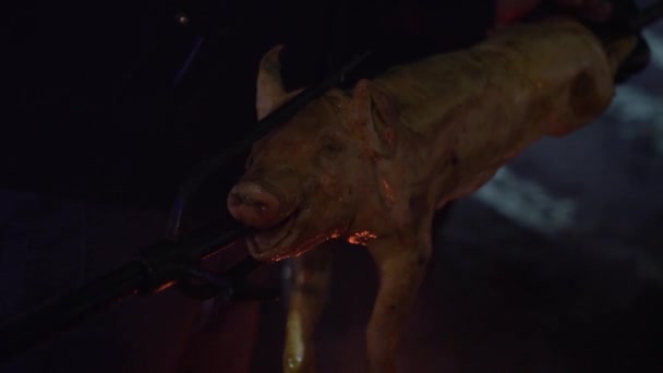 Roasting whole pork carcass on big metal skewer on open fire outdoors at night — Stock Video