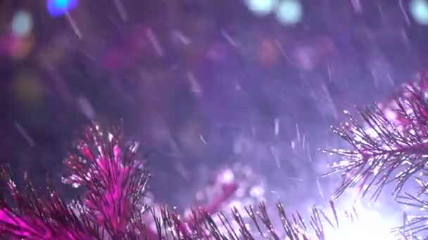 Closeup of pine branch with falling snow and flash lights on background at night — Stock Video