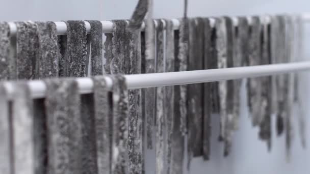 Hands put stripes of black pasta on racks for drying closeup in slow motion — Stock Video