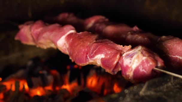 Primer plano de la carne asada en brochetas en la parrilla de carbón — Vídeo de stock