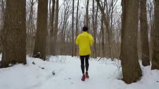 Plan de suivi du jogging d'athlète coureur en forêt lors d'une journée froide d'hiver — Video