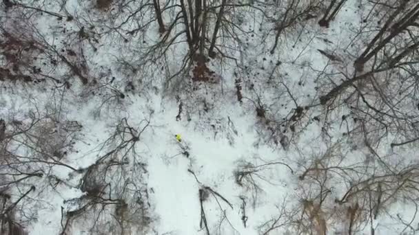 Tiro aéreo de atleta en capa amarilla trotando en el bosque en el frío día de invierno — Vídeo de stock