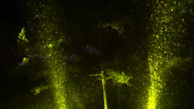 renkli spot ışıkları ile gece vurgulanan kış ormandaki yoğun kar yağışı