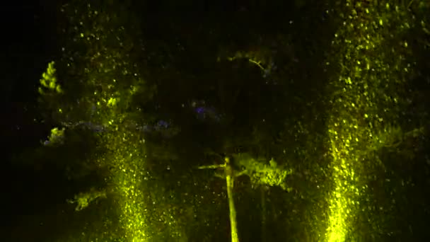 Pesanti nevicate nella foresta invernale evidenziate con luci spot colorate di notte — Video Stock