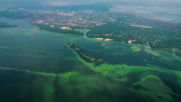 Anténa široké řeky znečištěná zelenými řasy v blízkosti průmyslové zóny — Stock video