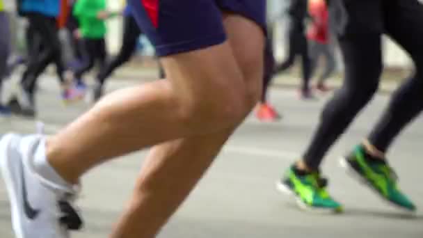 Gambe sfocate di persone che corrono maratona cittadina su strada asfaltata — Video Stock