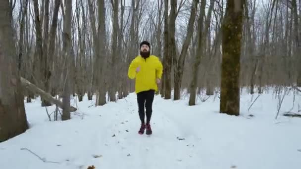 Erdei szakállas férfi fut erdőben hóval borított ösvényen a téli napon — Stock videók