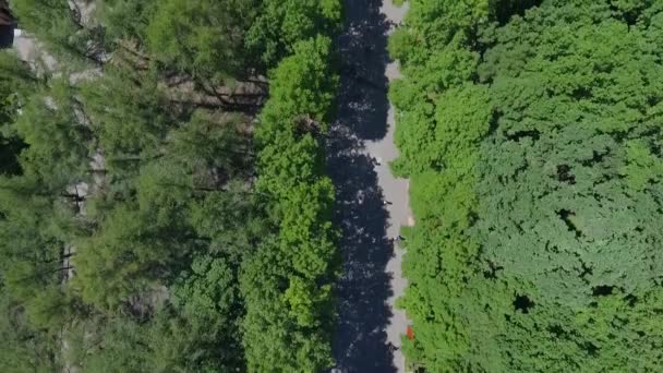 Aerial top down view of city park with people walking under green trees — Stock Video