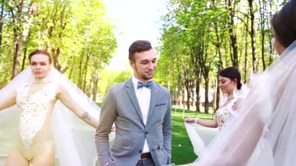 Ung snygg brudgum ser glad ut på tre sexiga brudar promenader runt hans — Stockvideo