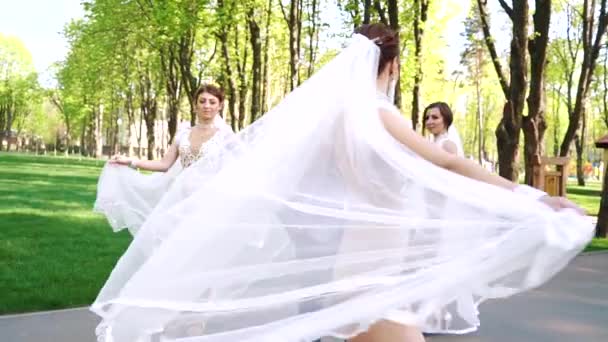 Young groom in costume choosing one of three sexy brides walking around his — ストック動画