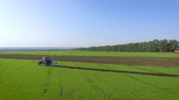 Luftbild eines roten Traktors, der auf dem grünen Feld Erde pflügt — Stockvideo