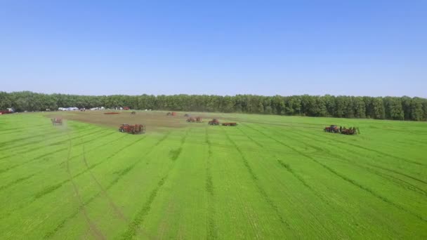Antena de muitas máquinas agrícolas em show agrícola equitação no campo verde — Vídeo de Stock